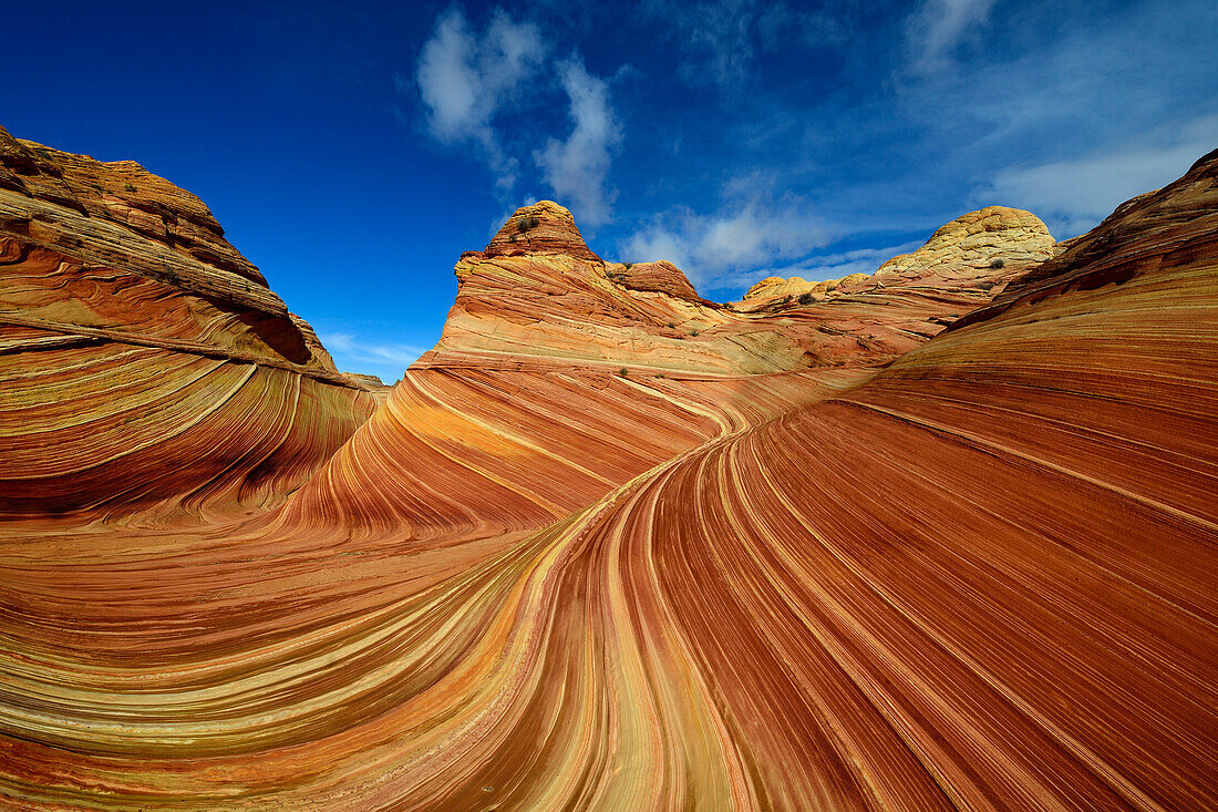 The Wave Felsformation im Grand Staircase Escalante National Monument, Utah, USA, Amerika