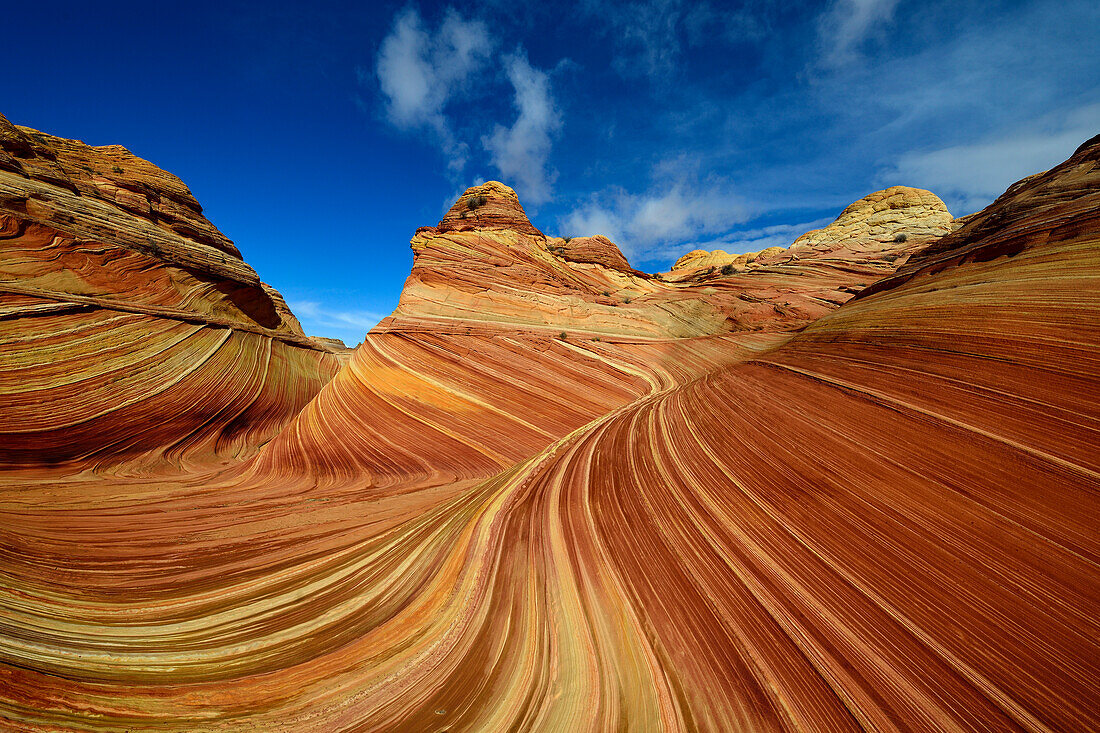 The Wave rock formation in Grand Staircase Escalante National Monument, Utah, USA, America