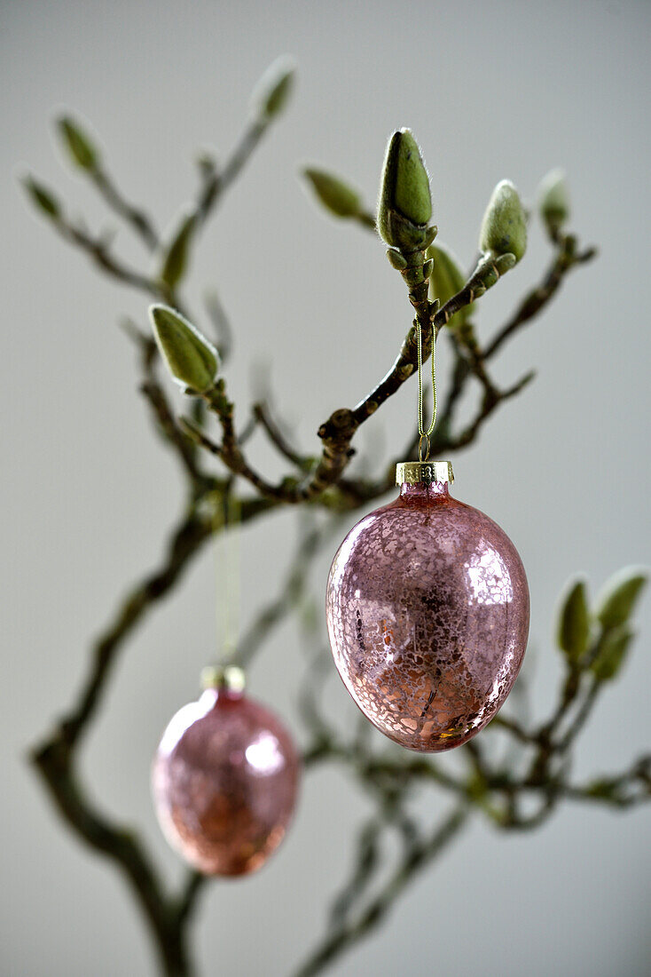 Pink glass balls as Easter decorations on a Magnolia branch, Hamburg, Germany