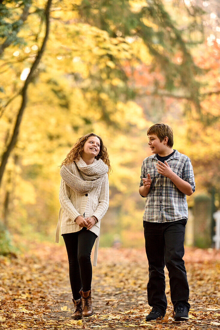 Mädchen und Junge gehen im herbstlich verfärbten Wald spazieren, Hamburg, Deutschland, Europa