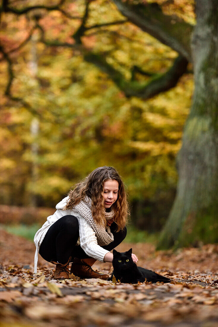 Girl stroking a black cat in an Autumn forest, Hamburg, Germany, Europe