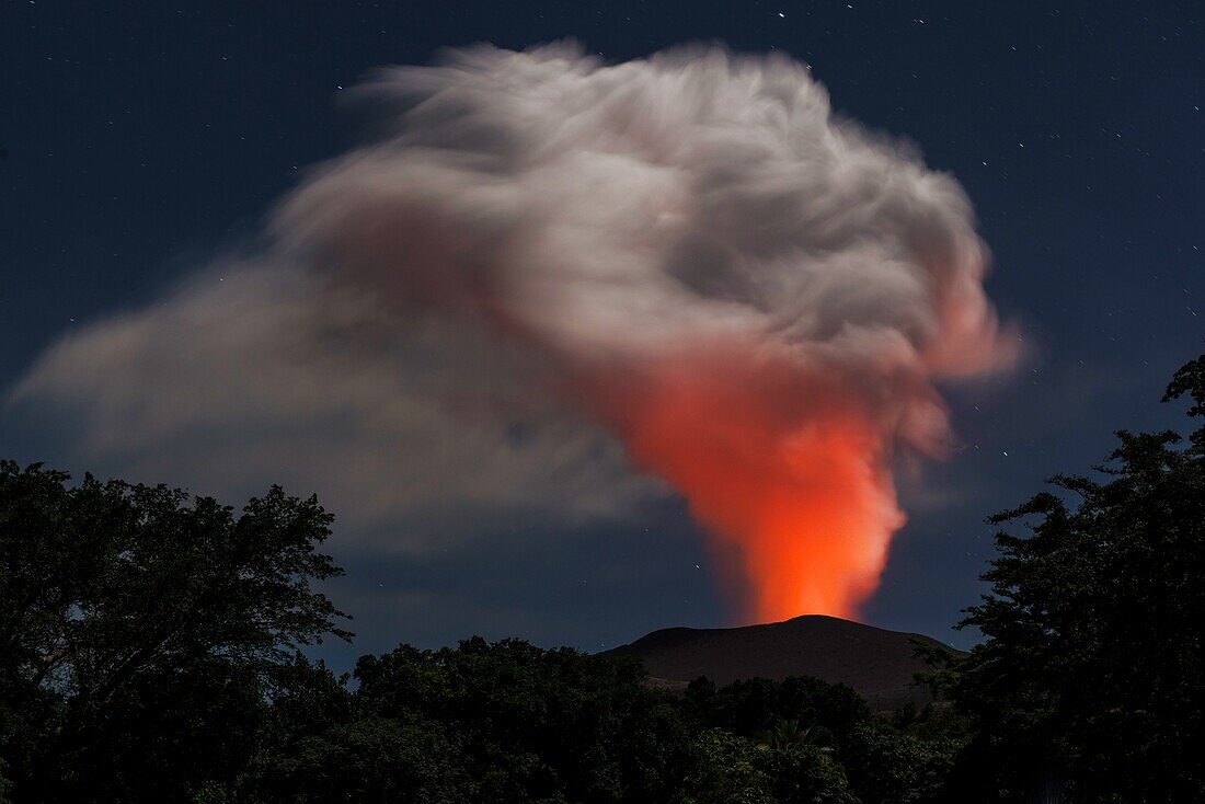 Blick auf eine sehr große Aschesäule des aktiven Vulkan Yasur in der Nacht bei Vollmond. Aschwolke wird unten von Lava ausgeleuchtet, oben vom Mond angestrahlt. Sternenhimmel und Bäume im Vordergrund, Vanuatu, Insel Tanna, Süd Pazifik