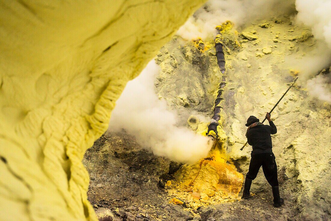 Minenarbeiter steht im giftigen Schwefelgas der Teufelsmine im Inneren des aktiven Vulkans Ijen auf Java und bricht erstarrten Schwefel mit einer Brechstange ab, Ost-Java, Vulkan Ijen, Indonesien