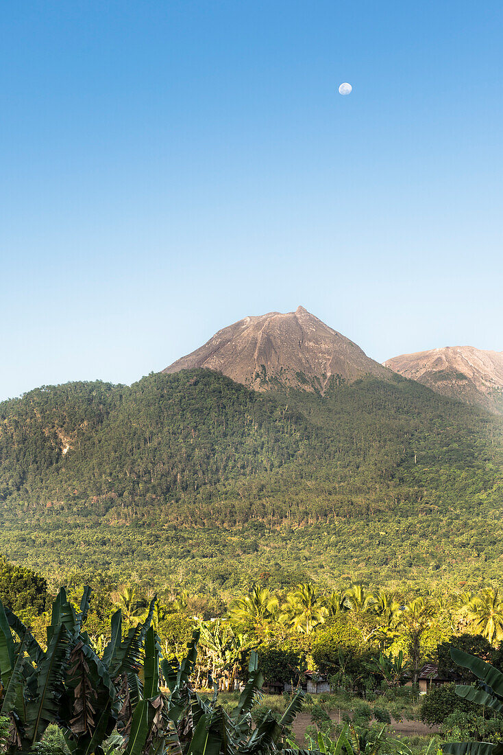 Cone of an extinct volcano, palm tree fields and forests, with full moon during the day, Island Flores, Indonesia