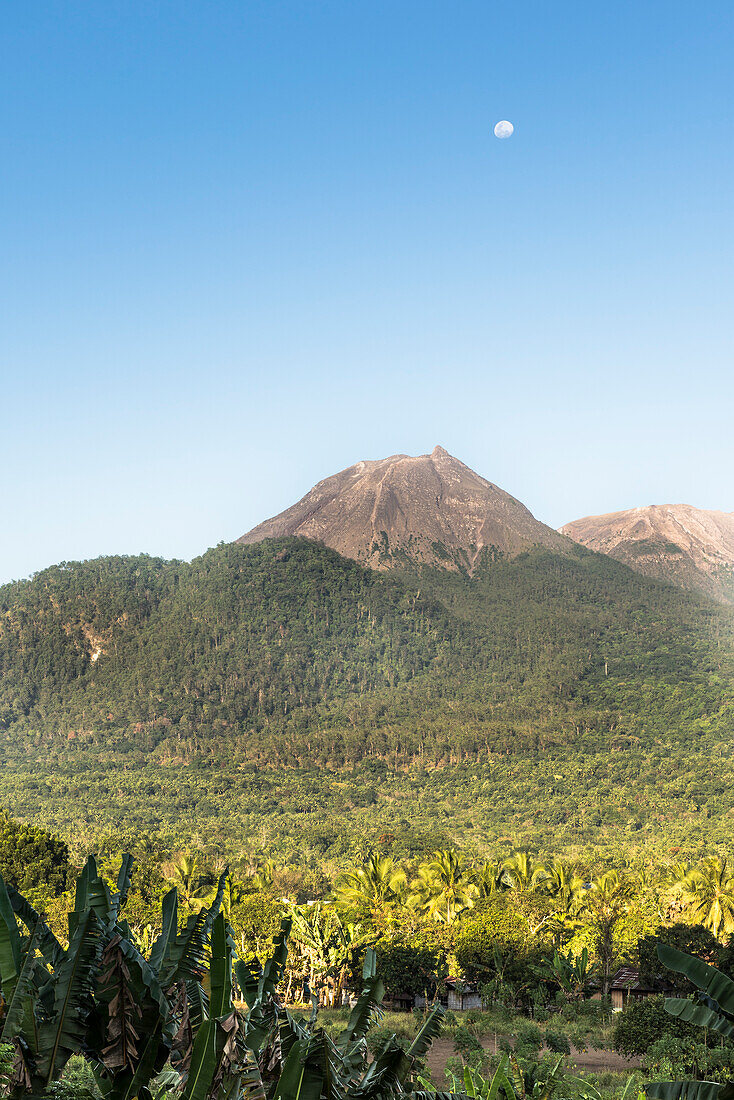 Erloschener, kegelförmiger Vulkan vor Palmenfeldern und Wäldern mit Vollmond am Tage, Insel Flores, Indonesien