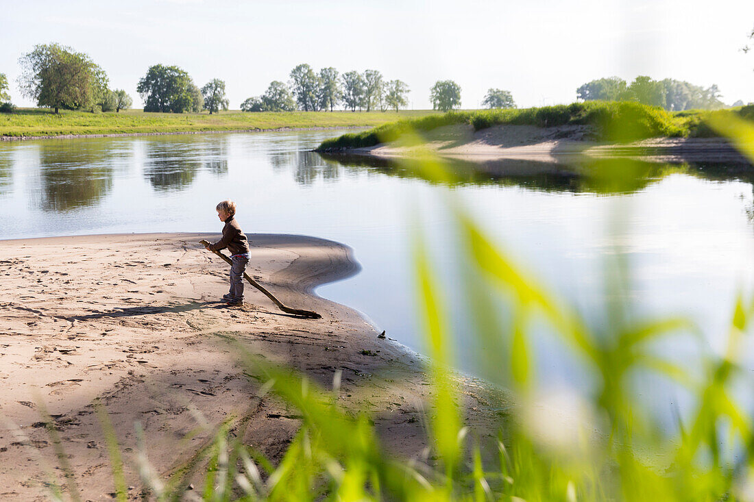 Junge spielt am Fluss, Familienfahrradtour an der Elbe, Elberadweg, Flussaue, Elbwiesen, Elberadtour von Torgau nach Riesa, Sachsen, Deutschland, Europa