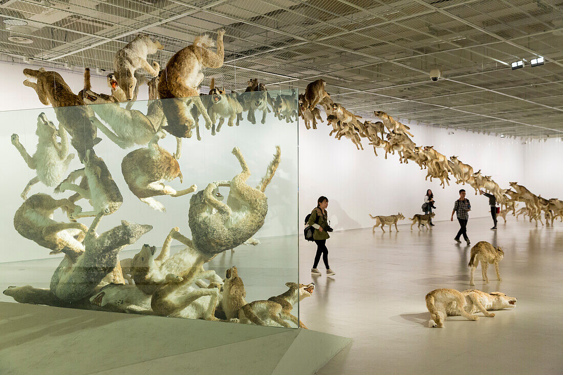 Installation Head On, wolves, visitors, exhibiton of Cai Guoqiang, Cai Guo-Qiang, The Ninth Wave, Aug 08-Oct 26, 2014, Shanghai Power Station of Art, art museum, Shanghai, China, Asia