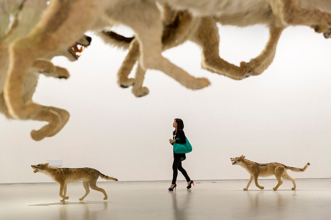 Installation Head On, wolves, visitors, exhibiton of Cai Guoqiang, Cai Guo-Qiang, The Ninth Wave, Aug 08-Oct 26, 2014, Shanghai Power Station of Art, art museum, Shanghai, China, Asia