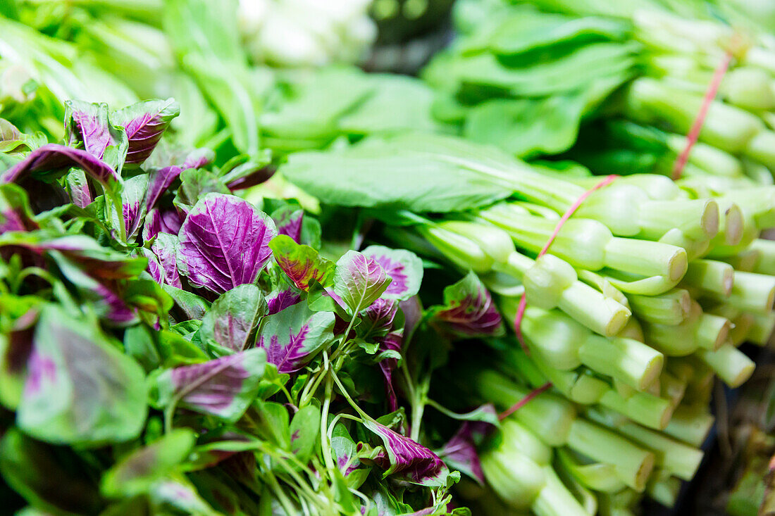 Green veggies, Tianzifang, vegetable market, fresh market, greens, vegetarian, Shanghai, China, Asia
