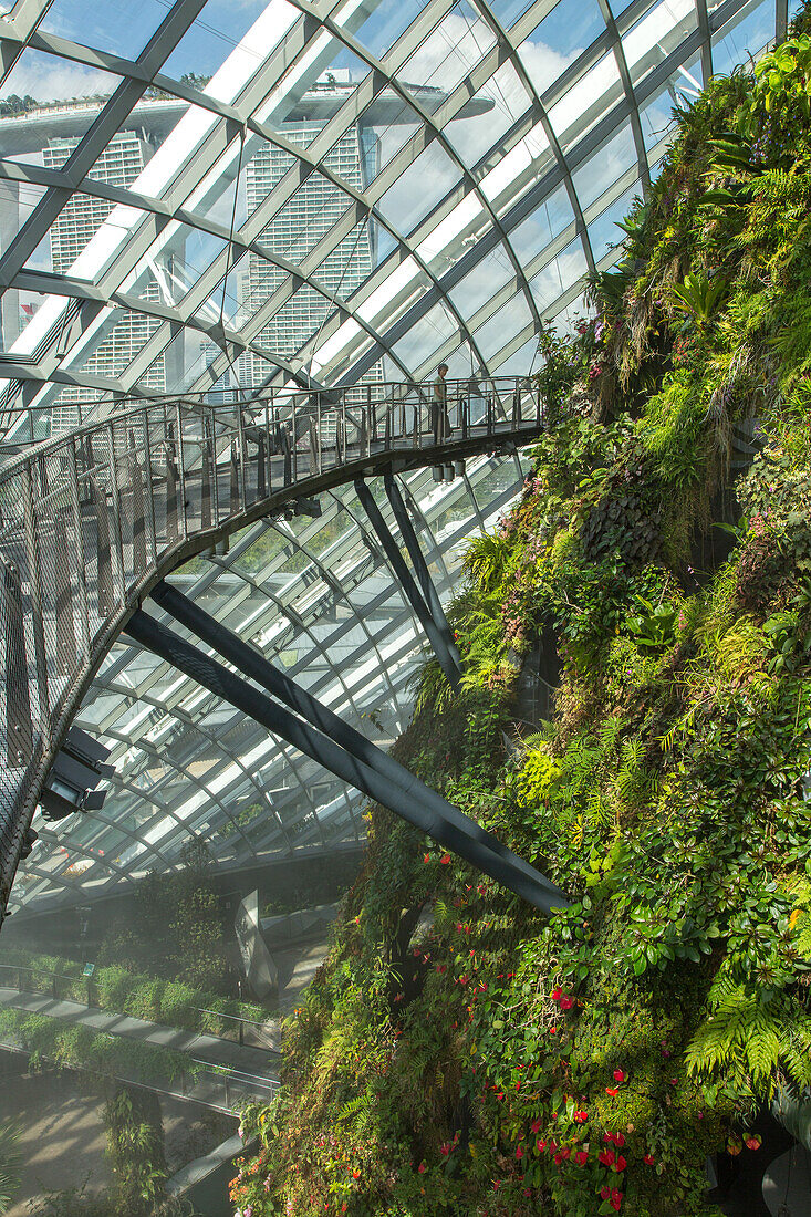 Conservatory, rain forest, Cloud Forest, Cloud Walk, Gardens by the Bay, themed gardens, glass, architecture, Singapore, Asia