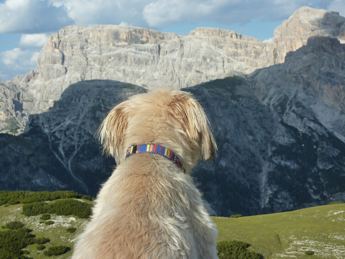 Blick vom Strudelkopf zu den Sextener Dolomiten, Dolomiten, Südtirol, Italien