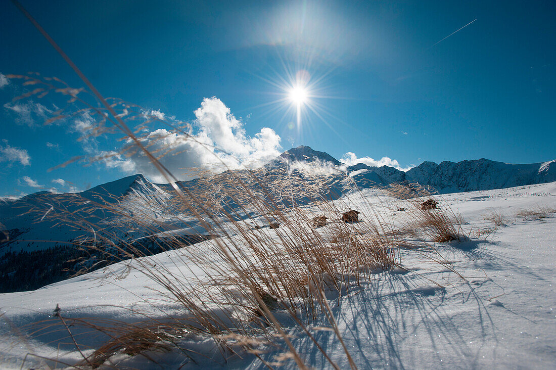Erster Schnee am Rangger Köpfl, Blick Richtung Rosskogel, Stubaier Alpen, Tirol, Austria