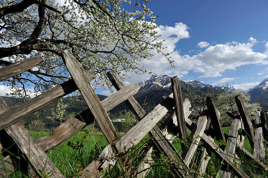 Holzzaun in Telfes, Stubaital, Blick auf Serles, Stubaier Alpen, Tirol, Österreich