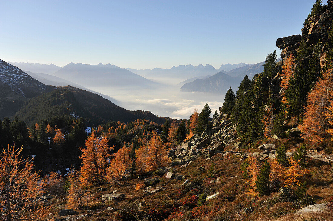 Herbst oberhalb von Innsbruck, Blick in das Inntal, Stubaier Alpen und Mieminger Kette, Tirol, Österreich