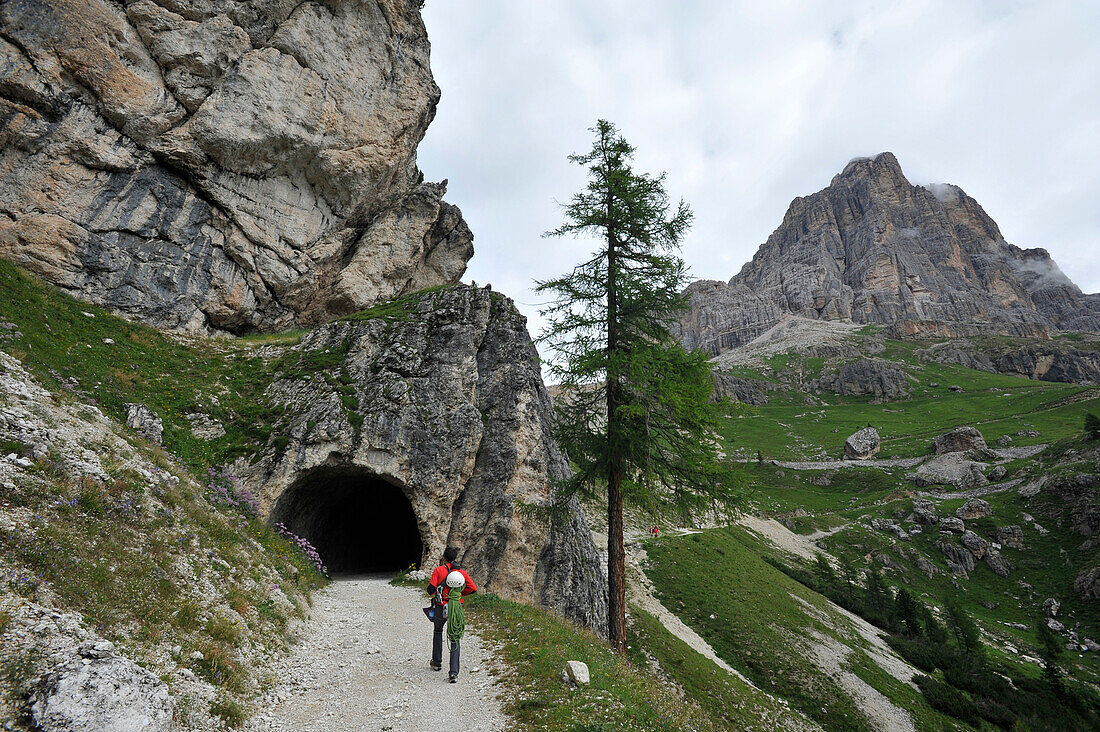 Aufstieg zur Rozes, Tofana Gebiet, Dolomiten, Südtirol, Italien