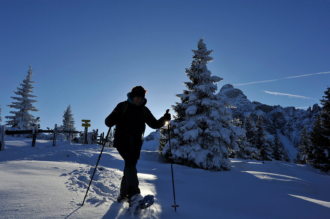 Schneeschuh Wandern am Gleinser Berg, Blick Richtung Serles, Stubaier Alpen, Tirol, Österreich