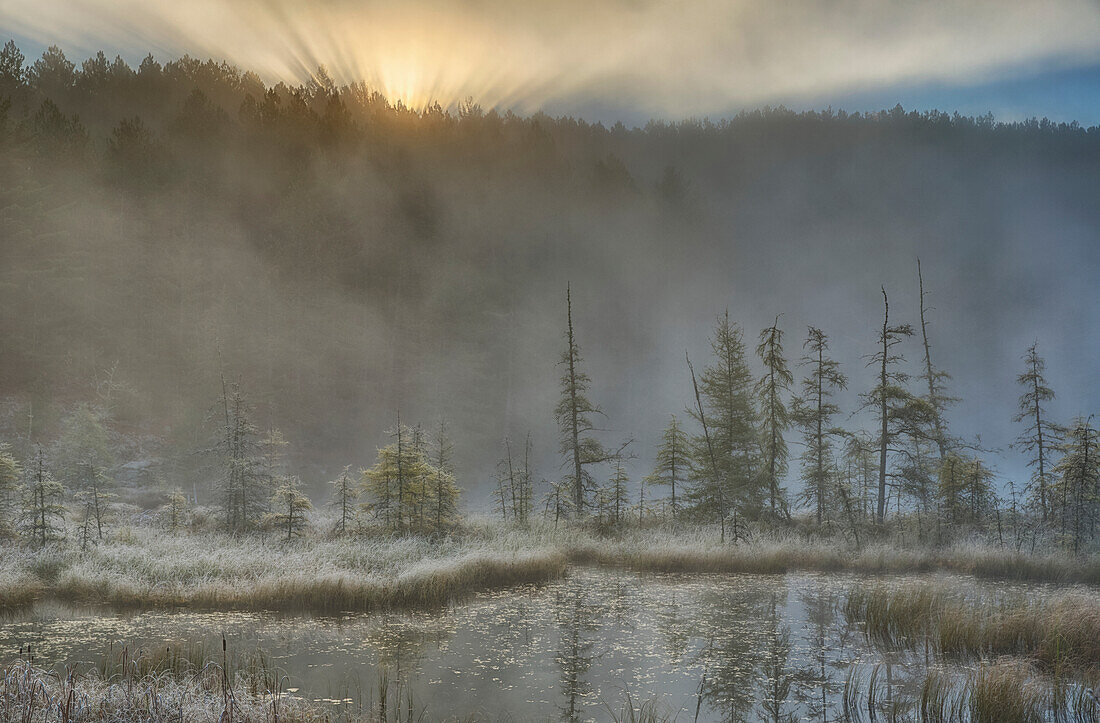 Early morning mist over a small pond along the Rock Lake Road as sun shines through the fog, Algonquin Park, Ontario, Canada