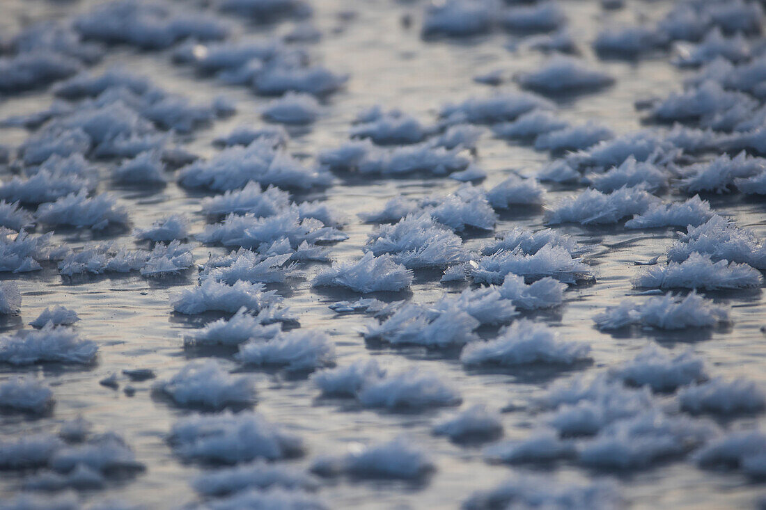 Ice crystals on the ice, Churchill, Manitoba, Canada
