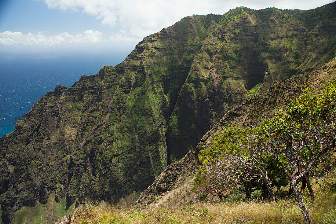 View of Honopu Valley along the Na Pali Coast from the Honopu Ridge Trail at Kokee State Park, Kauai, Hawaii, United States of America