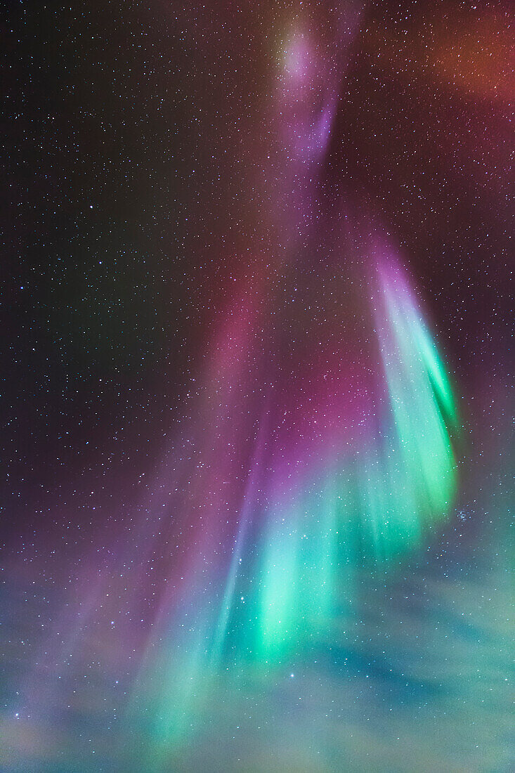 Northern Lights dance in clear skies above Barrow, Arctic Alaska, Alaska, United States of America