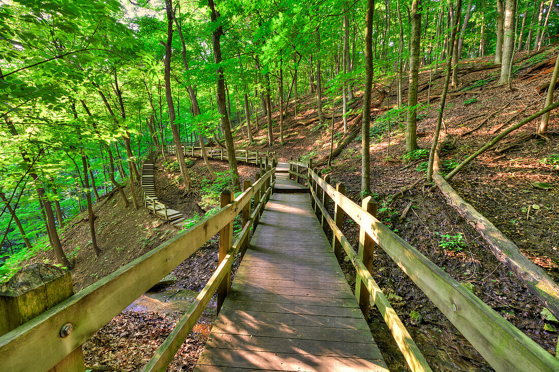 Wooden walkway to Bridal Veil Falls at Pikes Peak State Park, near McGregor, Iowa, United States of America
