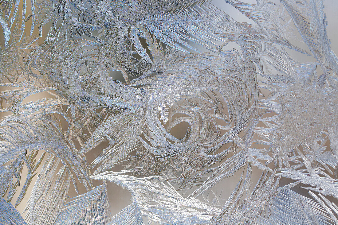 Frost on window, Waterloo, Quebec, Canada