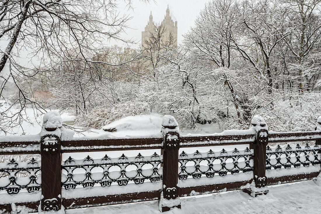 Snow-covered landscape from Oak Bridge, Central Park, New York City, New York, United States of America