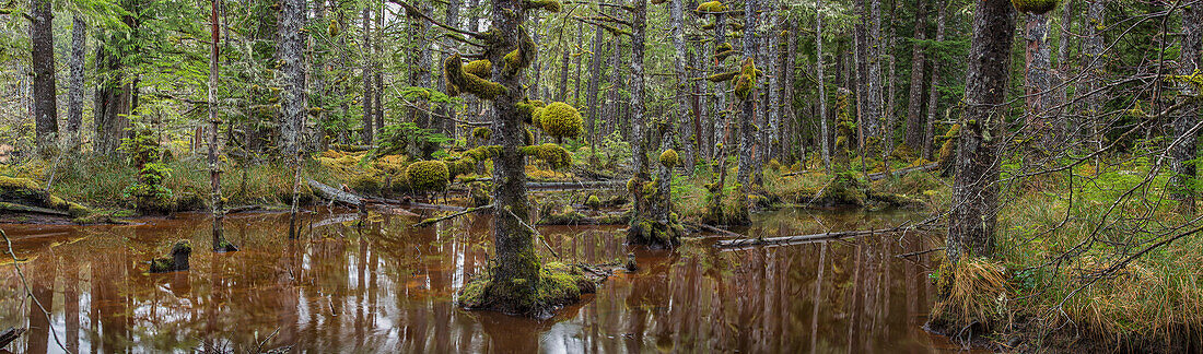 A pond lies deep within the heart of Naikoon Provincial Park near the town of Masset, Haida Gwaii, British Columbia, United States of America