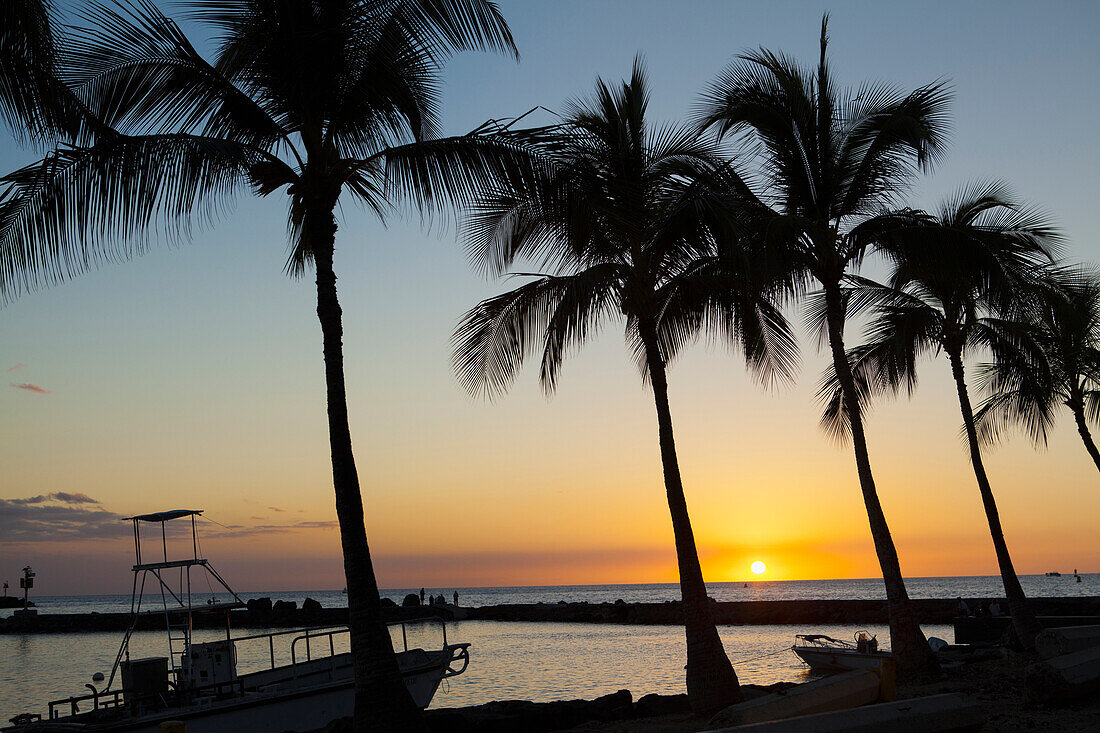 Silhouette of coconut trees at sunset at Kawaihae small boat harbour, Kawaihae, Island of Hawaii, Hawaii, United States of America