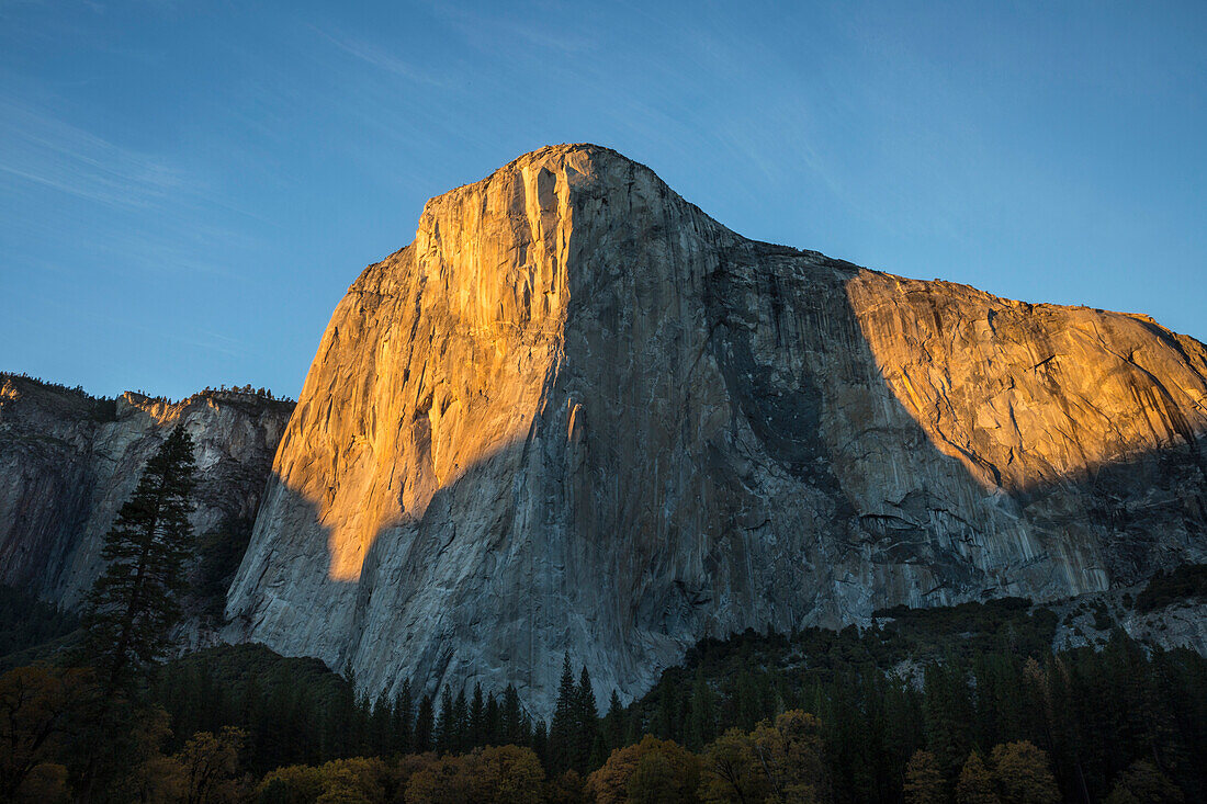 El Capitan El Cap bathed in late afternoon fall light in Yosemite Valley, Yosemite National Park, California, United States of America