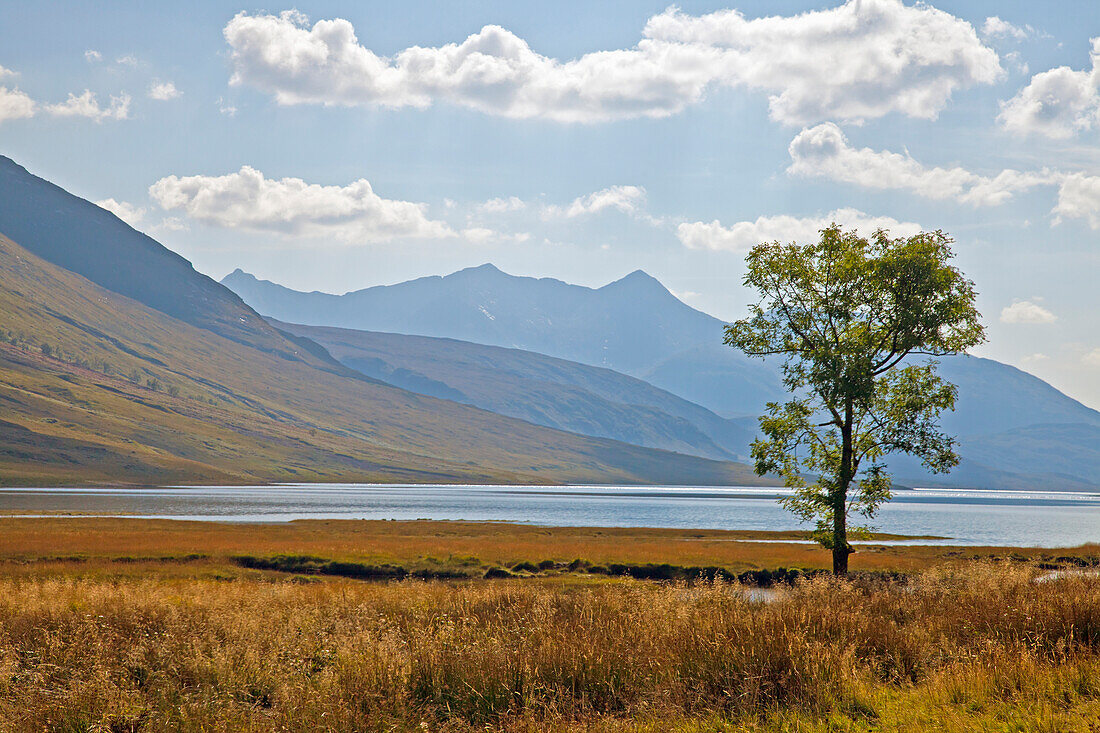 Head of Glen Etive, Scotland