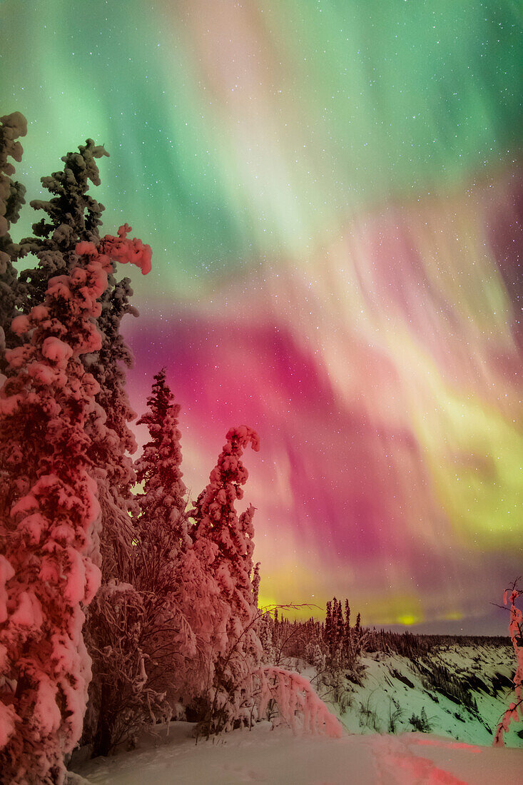Colorful northern lights over Copper River Valley near Glennallen, Southcentral Alaska, Winter