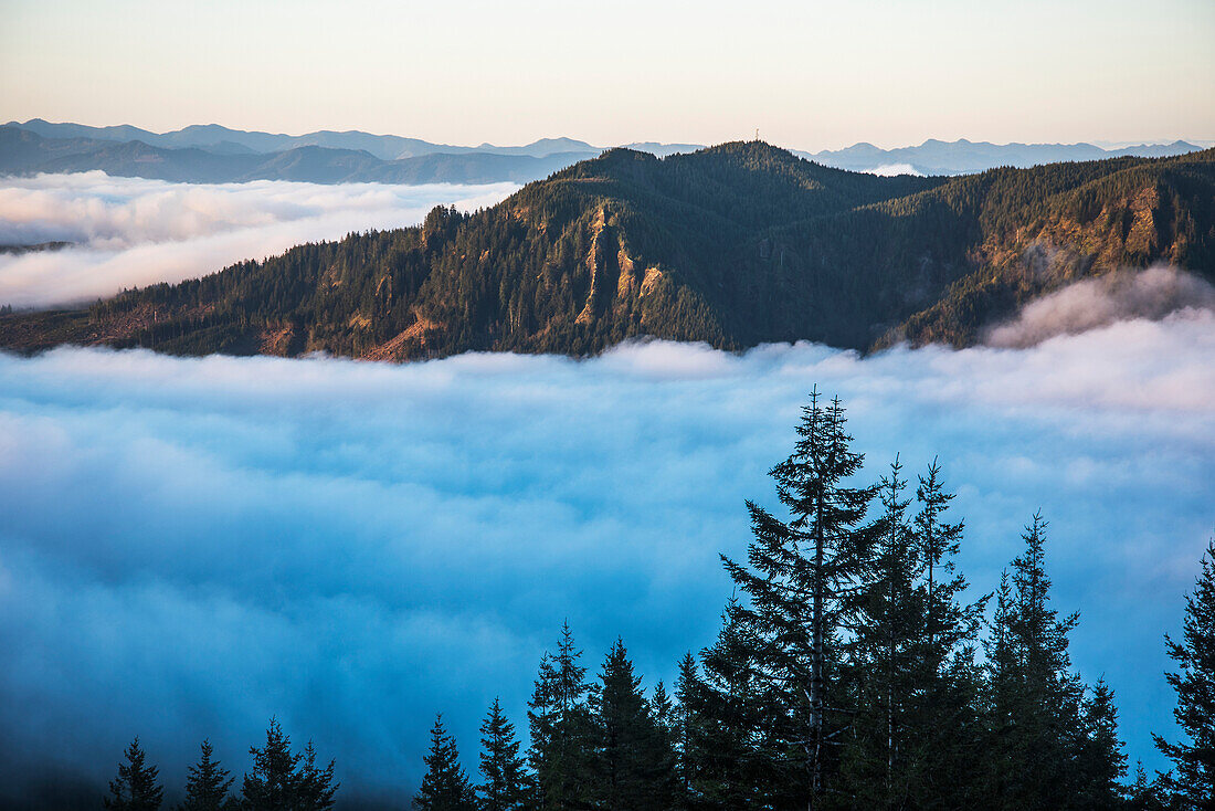 Fog fills the valleys below at dawn on Saddle Mountain, Hamlet, Oregon, United States of America