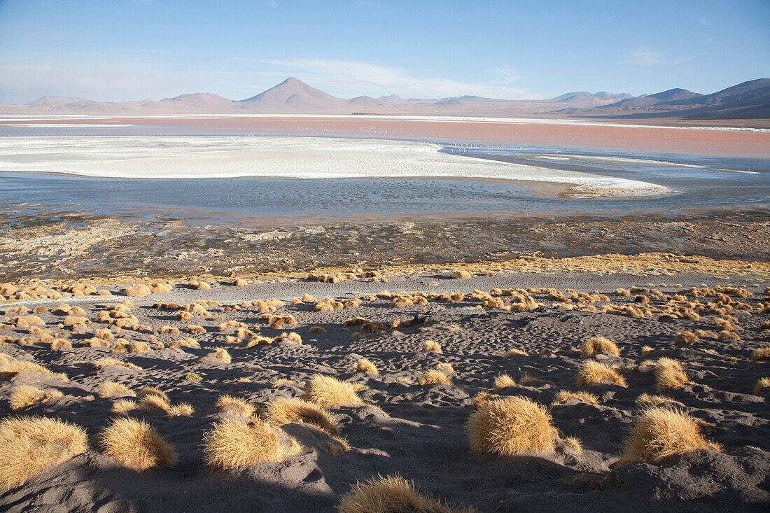Laguna Colorada, Eduardo Avaroa National Park, Potosi Department, Bolivia