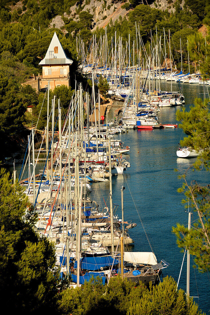 Port-Miou marina, Cassis, Bouches du Rhone, Provence, France, Europe