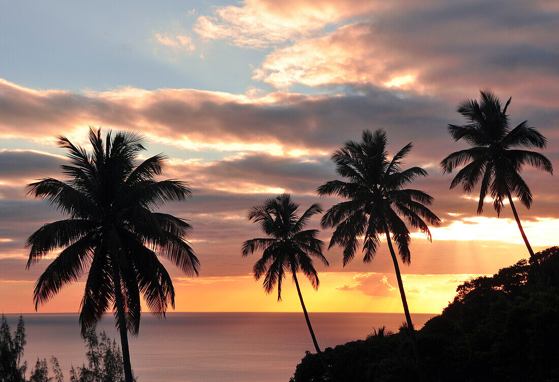 Sonnenuntergang mit Blick auf Palmen und Karibisches Meer, Soufriere, Meer, St. Lucia, Saint Lucia, Kleine Antillen, Westindische Inseln, Windward Islands, Antillen, Karibik, Mittelamerika