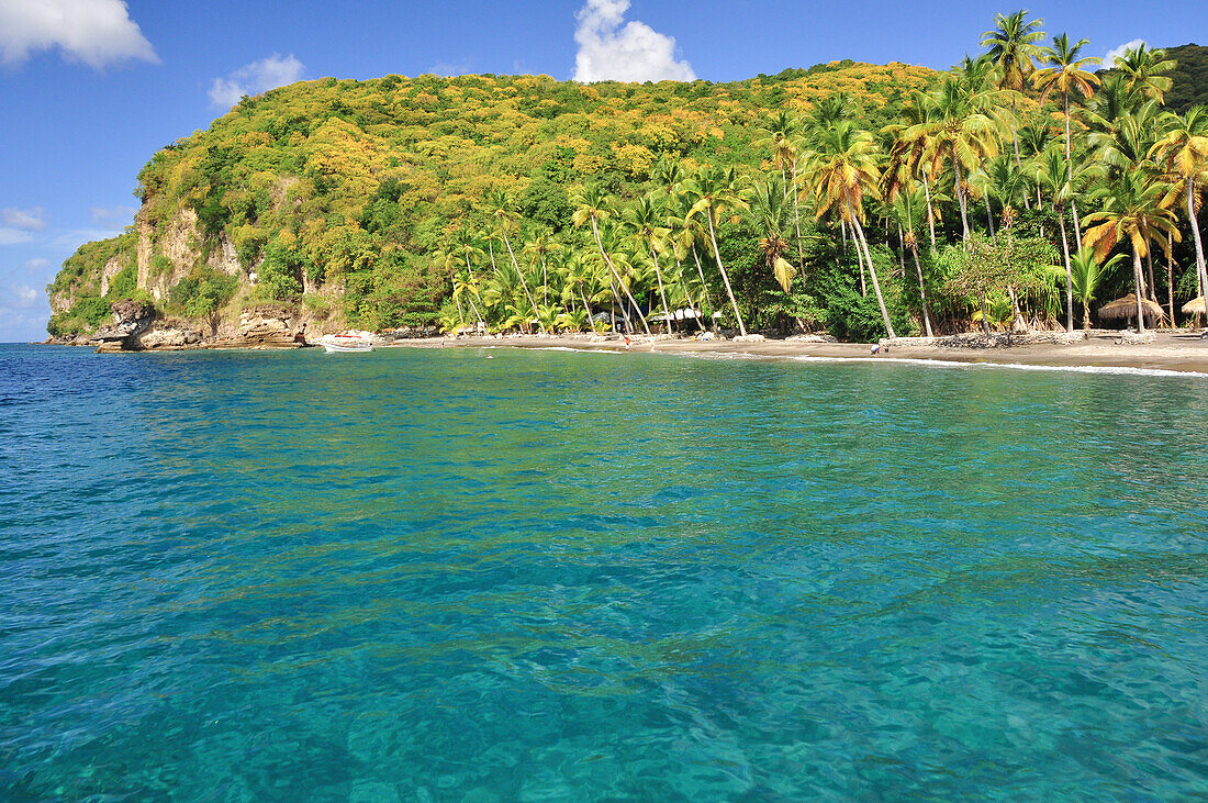 Palmen und Boote am Strand Anse Mamin und Steilküste, Anse Chastanet, Soufriere, Meer, St. Lucia, Saint Lucia, Kleine Antillen, Westindische Inseln, Windward Islands, Antillen, Karibik, Mittelamerika