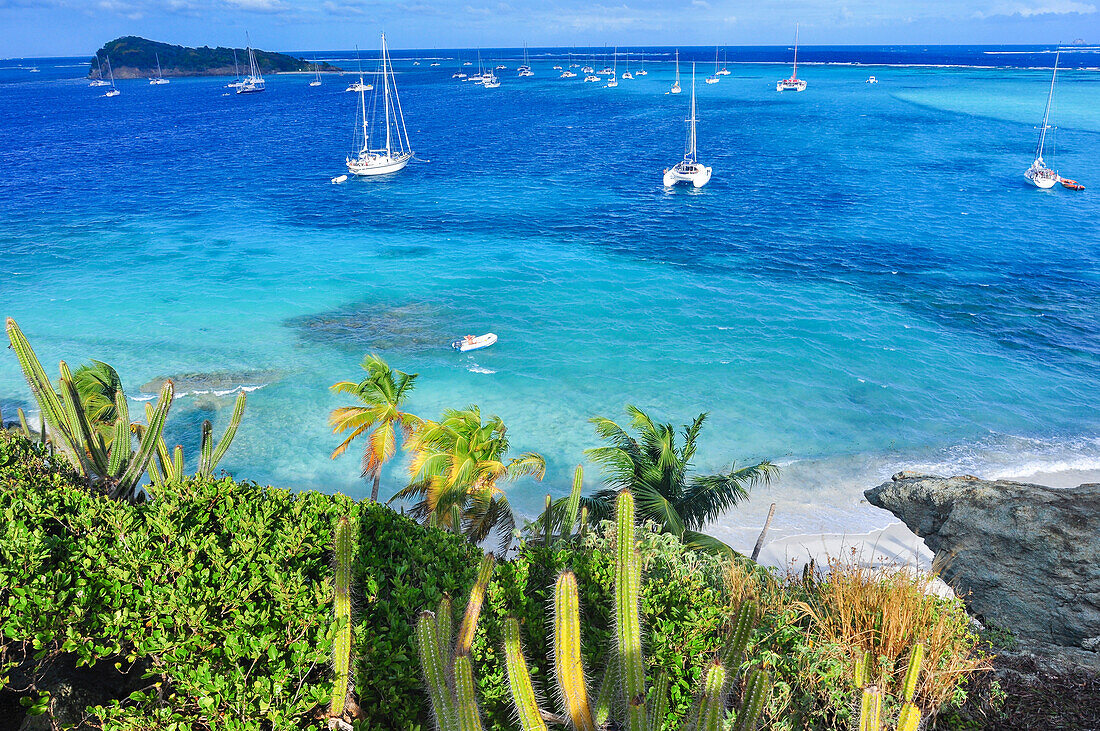 Blick von der Insel Jamesby auf Segelschiffe im Meer, Insel Baradel Island und Strand, Horseshoe Reef, Tobago Cays, St. Vincent und die Grenadinen, Saint Vincent and the Grenadines, Kleine Antillen, Westindische Inseln, Windward Islands, Antillen, Karibik