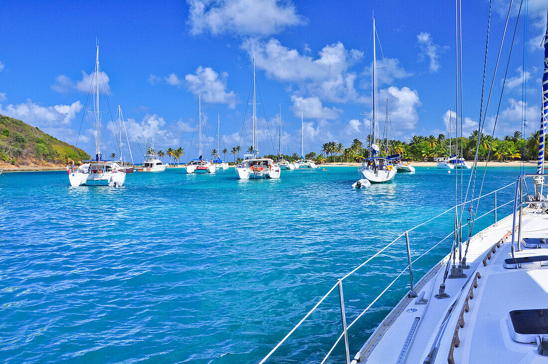 Blick von Yacht im Hafen auf Segelschiffe und Katamarane, Meer, Saltwhistle Bay, Mayreau, Tobago Cays, St. Vincent und die Grenadinen, Saint Vincent and the Grenadines, Kleine Antillen, Westindische Inseln, Windward Islands, Antillen, Karibik, Mittelameri
