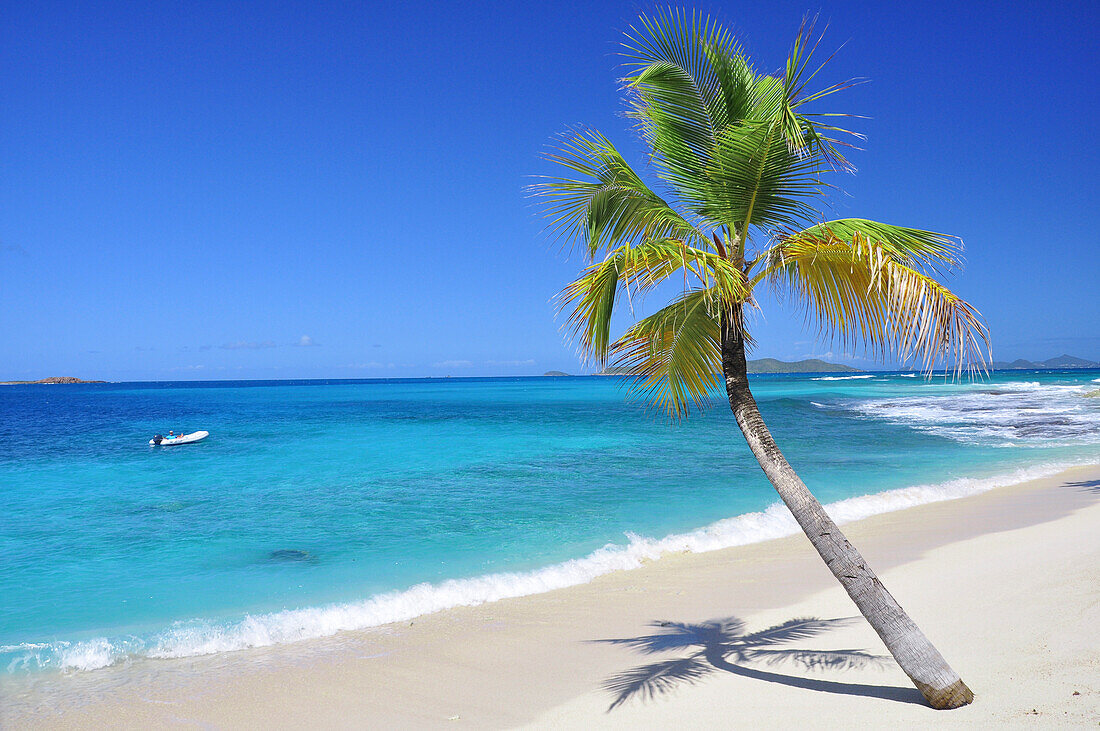 Palme und Schlauchboot an tropischem Strand, Meer, Palm Island, St. Vincent und die Grenadinen, Saint Vincent and the Grenadines, Kleine Antillen, Westindische Inseln, Windward Islands, Antillen, Karibik, Mittelamerika