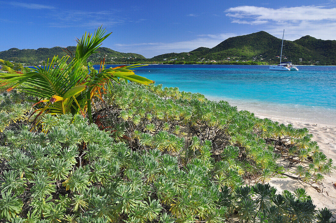 Tropischer Strand mit Segelschiff, Meer, Sandy Island, Carriacou, Grenada, Kleine Antillen, Westindische Inseln, Windward Islands, Antillen, Karibik, Mittelamerika