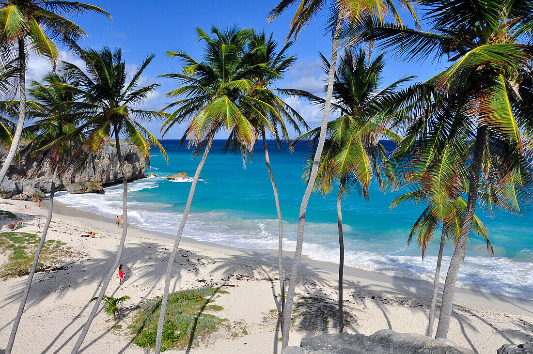 young woman on a tropical beach with palm trees, sea, Bottom Bay, south coast, Barbados, Lesser Antilles, West Indies, , Windward Islands, Antilles, Caribbean Islands, Central America