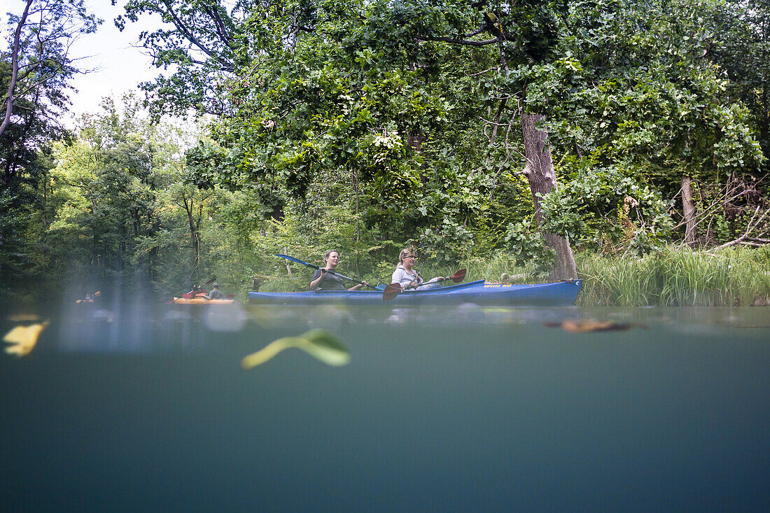 Kajak-Touristen paddeln durch das Biosphärenreservat Spreewald. Aufnahme auf Niveau der Wasseroberflächen, Biosphärenreservat, Schlepzig, Brandenburg, Deutschland
