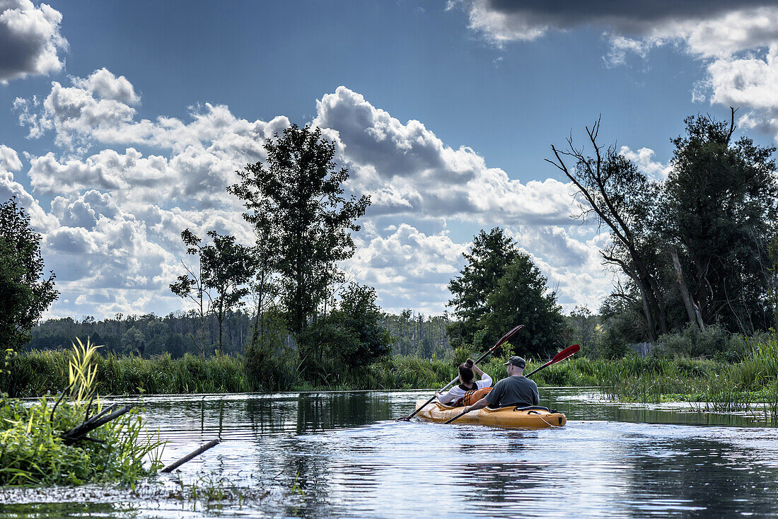 Tourist couple in a yellow two-man kayak paddling on a branch of a stream in Unterspreewald. Photograph taken from a canoe, biosphere reserve, Schlepzig, Brandenburg, Germany