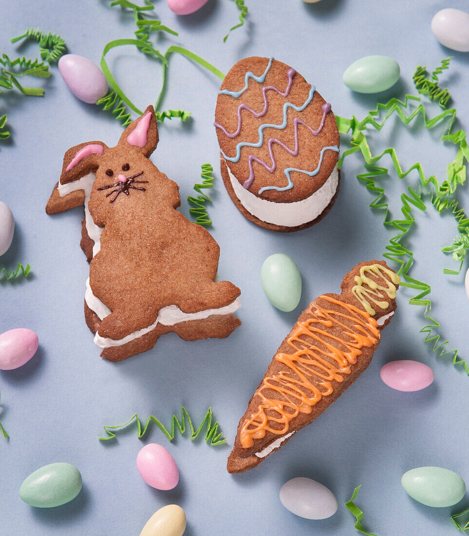Easter Bunny, Carrot and Egg S'mores with Jelly Beans
