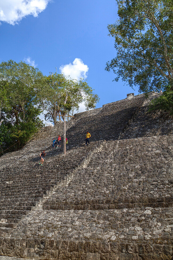 Structure 1, Calakmul Mayan Archaeological Site, UNESCO World Heritage Site, Campeche, Mexico, North America