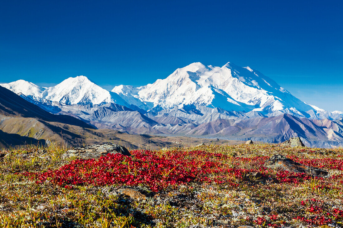 Scenic view of Mt. McKinley with red fall tundra in the foreground in Denali National Park, Interior Alaska, Fall, USA.