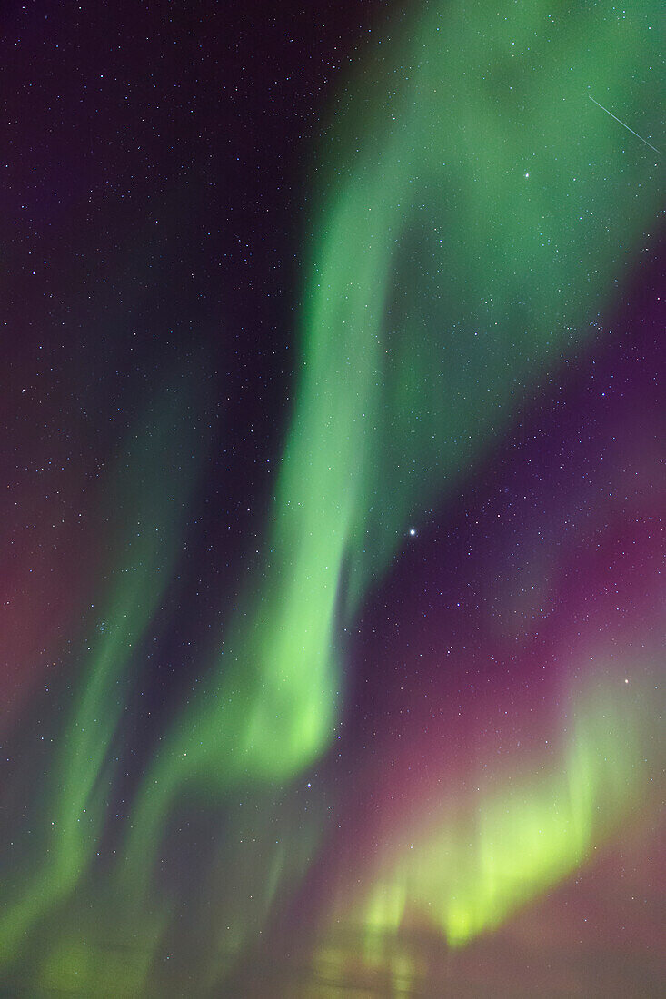 Northern Lights above Barrow, Arctic Alaska, Winter