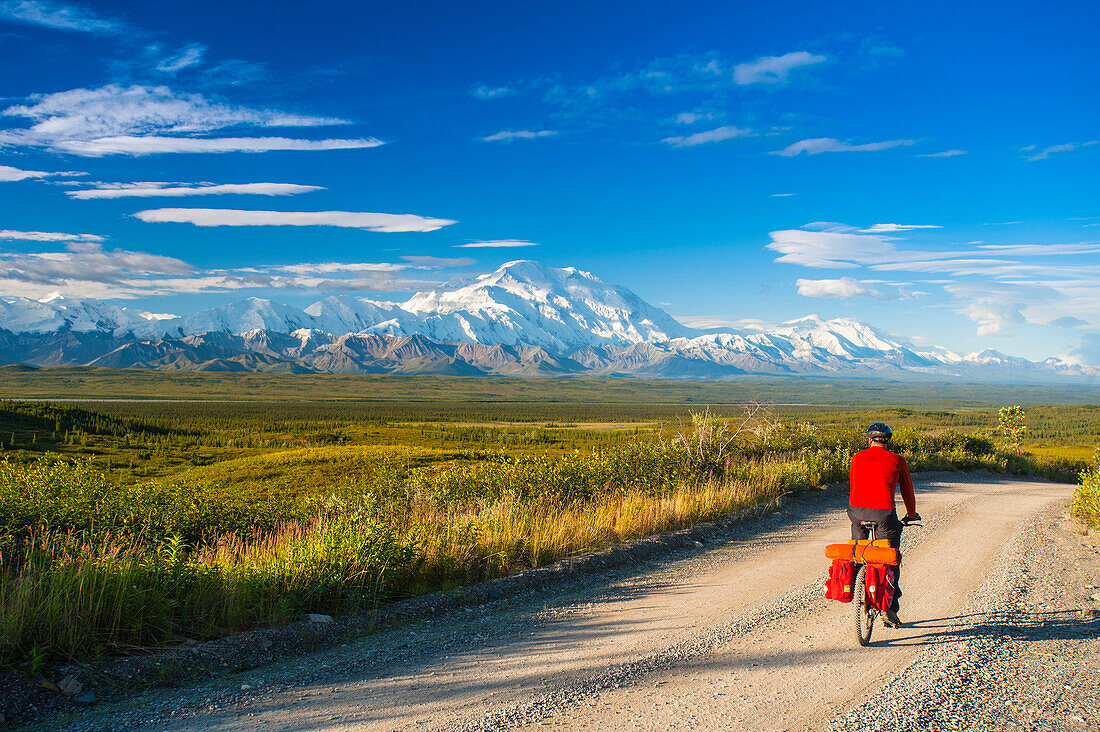 A man bicycle touring in Denali National Park with Mt. McKinley in the background, Interior Alaska, Summer