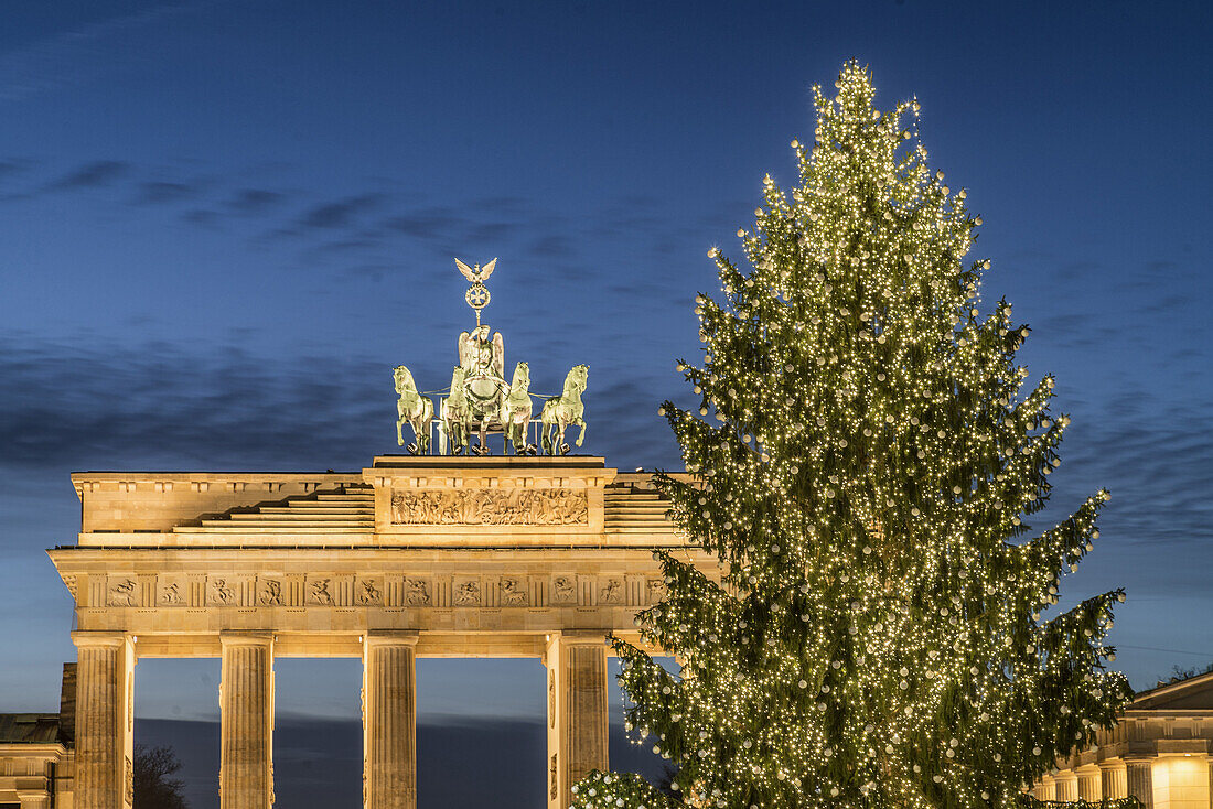 Christmas Tree on Pariser Platz and Brandenburg Gate, Berlin Germany